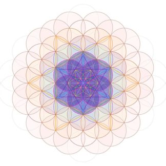 ~ VE Flower of Life ~