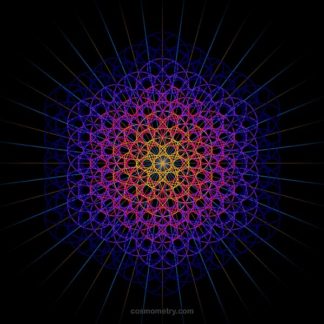 ~ Genesa Flower of LIfe ~